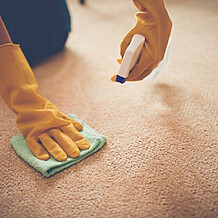 Pet Odor and Stain Removal Pet Odor and Stain Removal