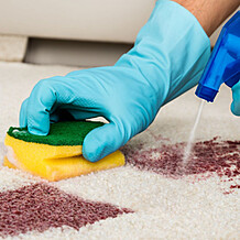 Stain Removal Stain Removal