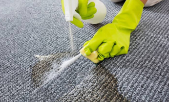 Trained cleaner performing carpet cleaning in modern apartment