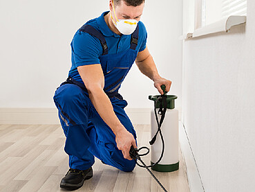 Moving to a new apartment in Dubai? Why Getting A Pest Control Should Be First on Your List