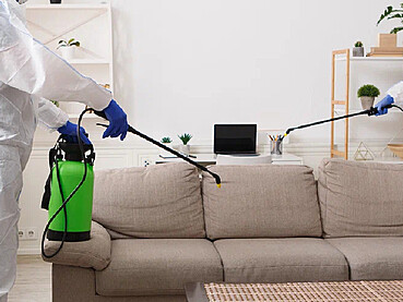Understanding Pest Breeding Cycles to Time Your Cleaning Services