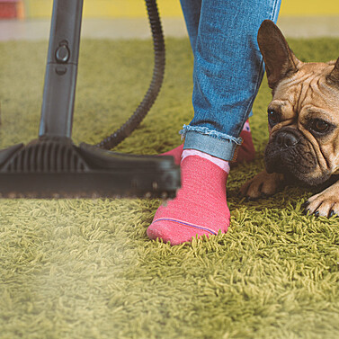 Remove Pet Urine Stains from Wool Carpet Safely