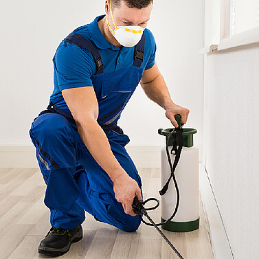 Moving to a new apartment in Dubai? Why Getting A Pest Control Should Be First on Your List