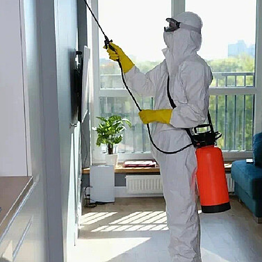 Why Even New Villas in Dubai Need Pest Control