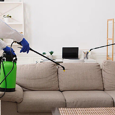 Understanding Pest Breeding Cycles to Time Your Cleaning Services