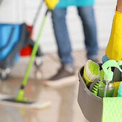 Professional Sofa Cleaning