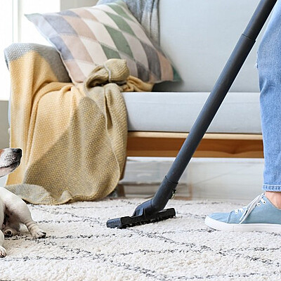 Professional Sofa Cleaning